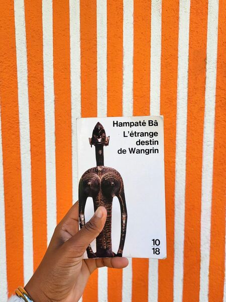 Fichier:Livre Eze.jpeg